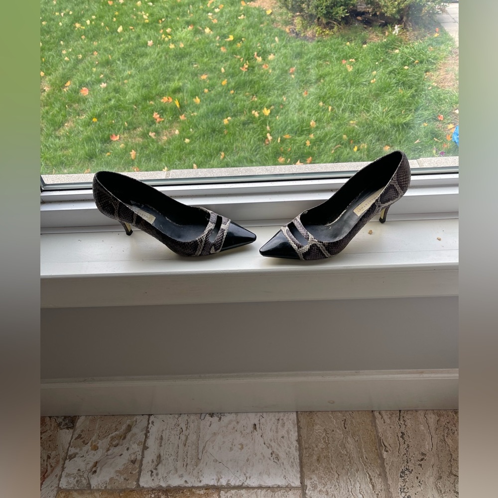 A snakeskin shoe (vegan)by Stellar McCarthy … well worn but still has life left